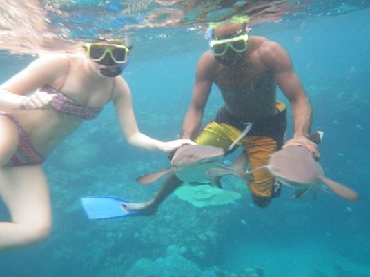 Naqalia Lodge Wayasewa Island Luaran gambar