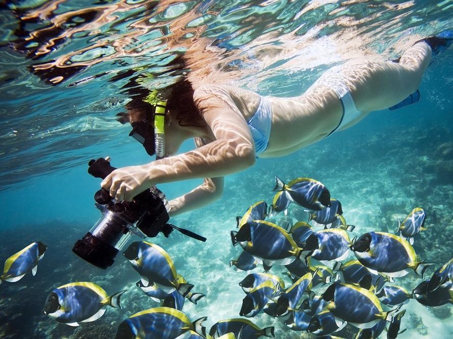 Naqalia Lodge Wayasewa Island Luaran gambar